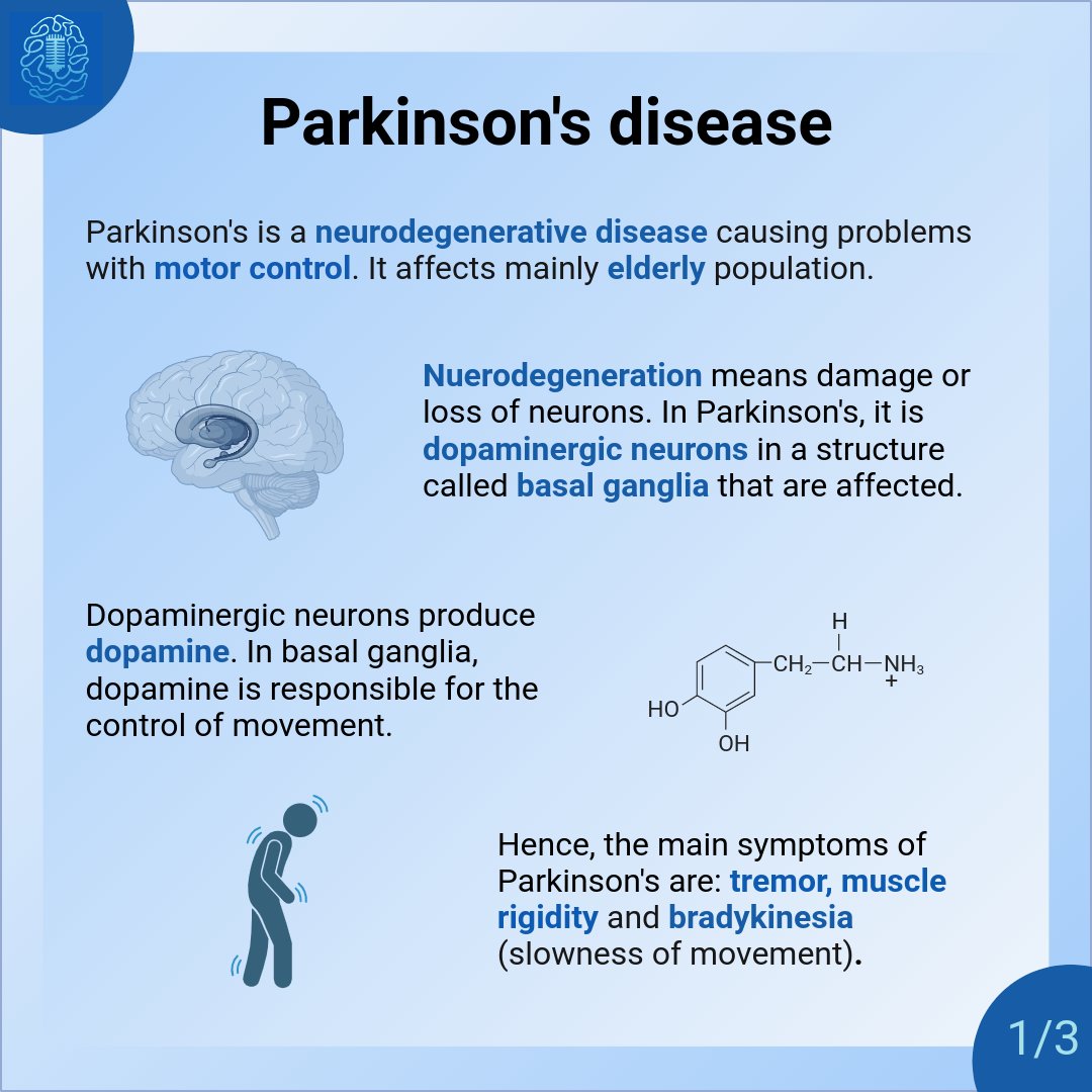 neuro_beyond's tweet photo. Neurodegenerative diseases pose a great challenge to our society. We put together some facts about one of them, Parkinson’s, in our infographics. Check them out!

If you are curious about this topic, find out more from our interview with prof. Tiago Outeiro here: https://t.co/cK29InOClQ

Sources:
Bhat, Shreya, et al. "Parkinson's disease: Cause factors, measurable indicators, and early diagnosis." Computers in biology and medicine 102 (2018): 234-241.
Flores-Leon, Manuel, and Tiago Fleming Outeiro. "More than meets the eye in Parkinson’s disease and other synucleinopathies: from proteinopathy to lipidopathy." Acta Neuropathologica (2023): 1-17.
Koga, Shunsuke, et al. "Neuropathology and molecular diagnosis of Synucleinopathies." Molecular neurodegeneration 16.1 (2021): 83.
Shahmoradian, Sarah H., et al. "Lewy pathology in Parkinson’s disease consists of crowded organelles and lipid membranes." Nature neuroscience 22.7 (2019): 1099-1109.
https://t.co/2AVVULwK0R

Unless otherwise stated, all graphics were created with https://t.co/UKbi8m6gop

#SciComm #neuroscience #science #brain #podcast #AcademicChatter #IMPRS #MBExC #Parkinson #neurodegeneration #deepbrainstimulation #LDOPA #protein