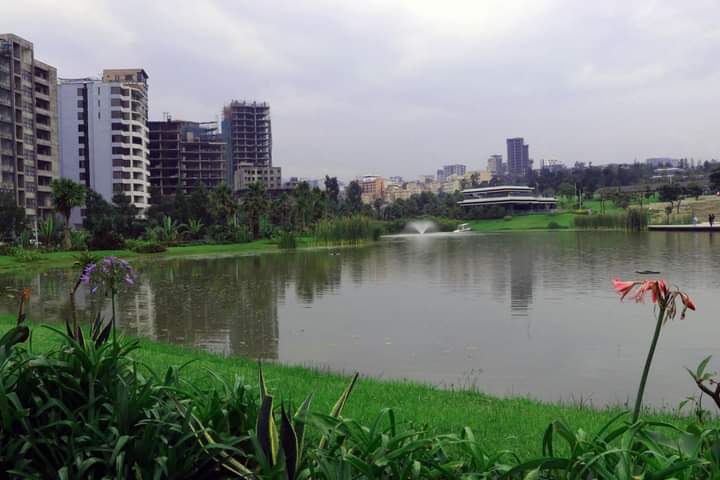 #Ethiopia 🇪🇹   Come and see the beautiful view of Addis Abeba 

#lakeside #view #friendshippark