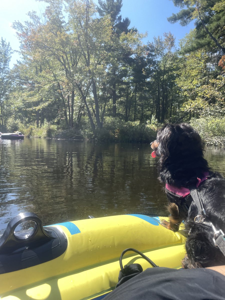 Was a beautiful day yesterday for a float ☀️ 

Happy to have the flexibility to do fun things during the week/ anytime now 

#contentcreators #dog #pets #ugc #socialmedia #paws #boating #floating #nature #outdoorgear