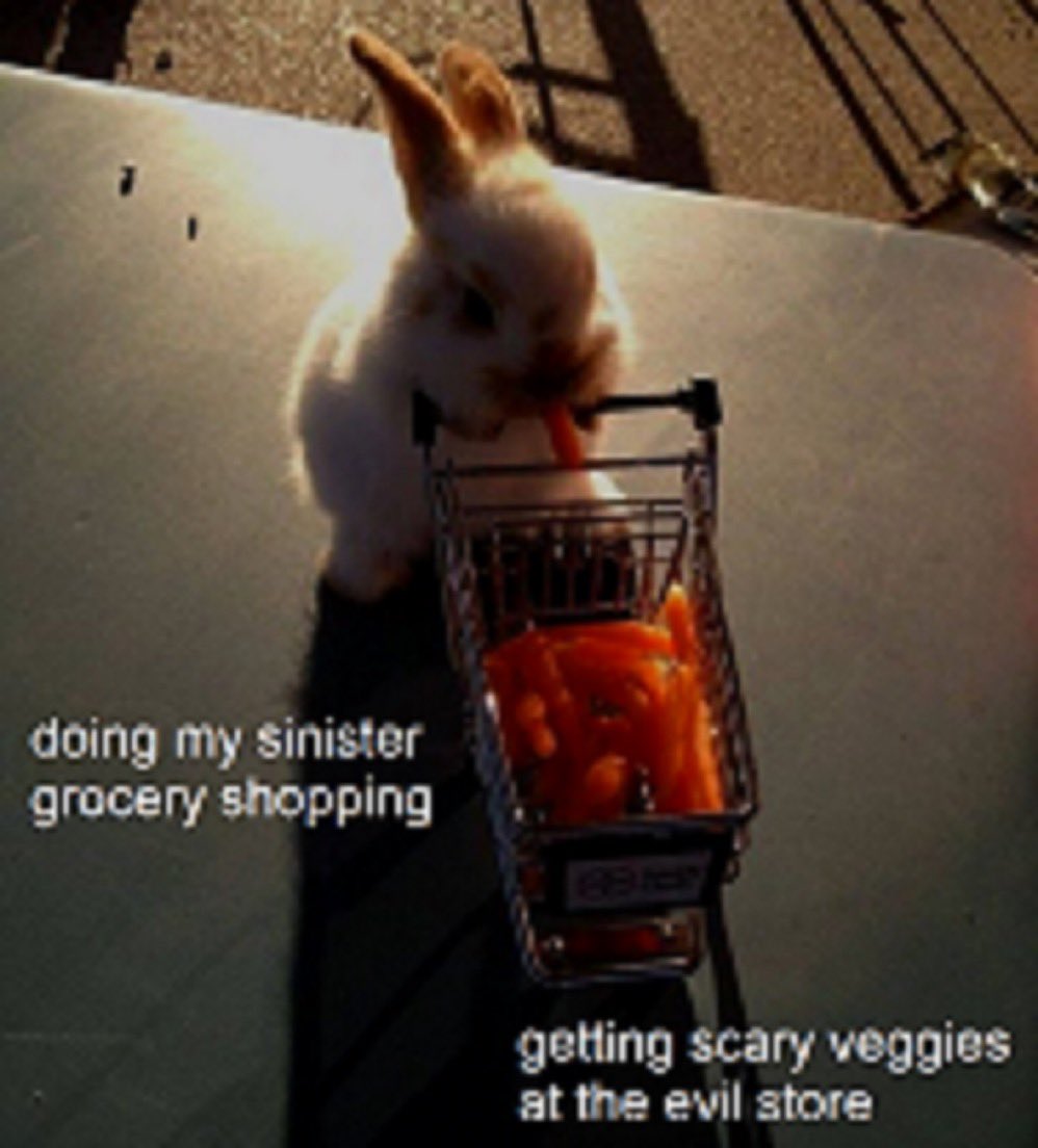 ‎ ‎ ‎ ‎ ‎ ‎ ‎ ‎ ‎ ‎ ‎ ‎ ‎ ‎ 𝐇𝐄𝐀𝐓𝐇⭒𝐂𝐋𝐈𝐅𝐅。 (@c0untyrabbit) on Twitter photo 