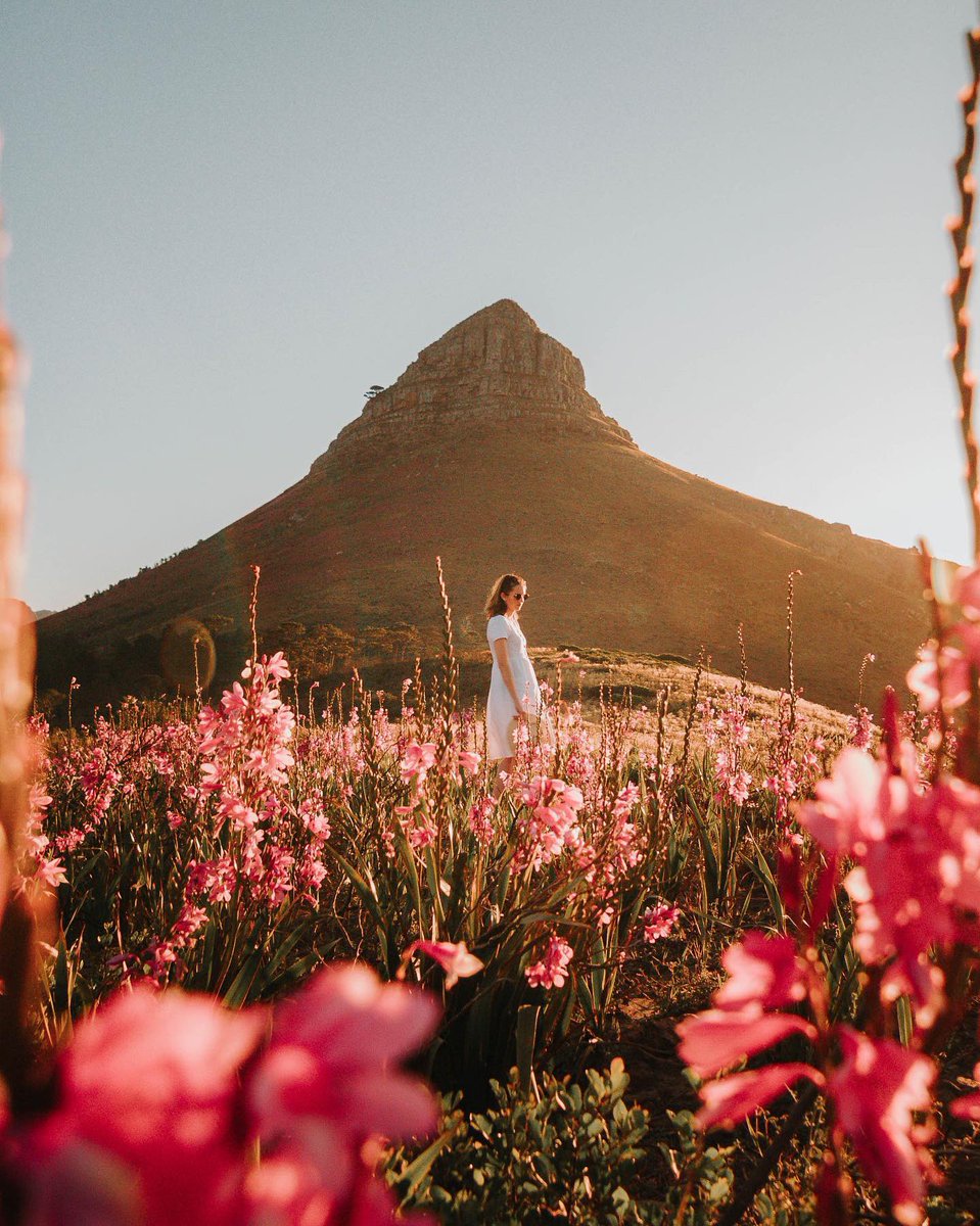 lovecapetown's tweet photo. Nothing beats golden hour in the Mother City! 😍

Tell us, where do you love to end a day in Cape Town? 

📸: @thewanderlustmovement/Instagram https://t.co/nTVlTv5fnV