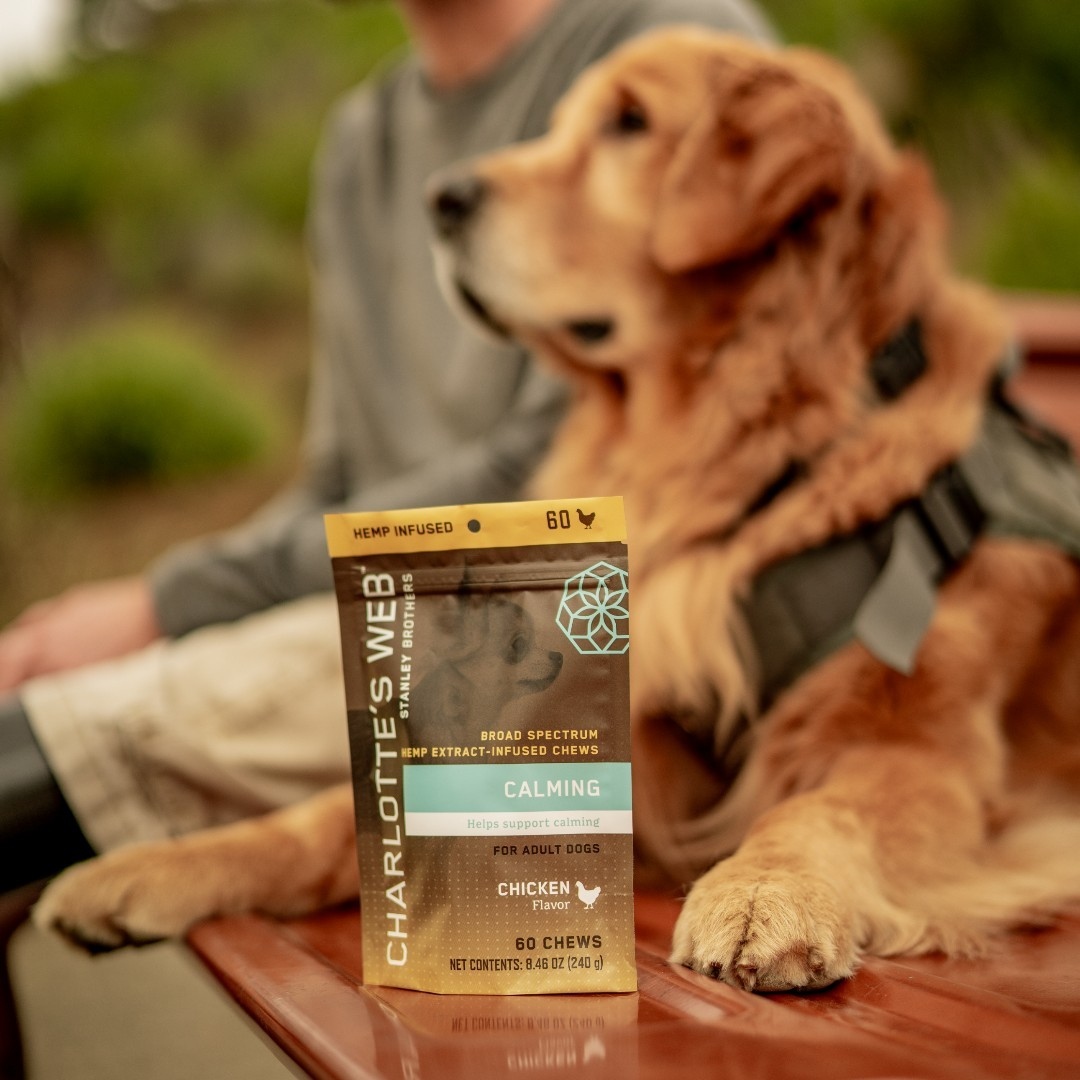 StoneandLeafCBD's tweet photo. Every pup deserves a moment of calm. 🐶🍖 Dive into the world of Charlotte's Web Calming Dog Treats. Tail-wagging goodness awaits! #StoneAndLeaf #PuppyLove #CalmTails https://t.co/1KCzoZ82mr