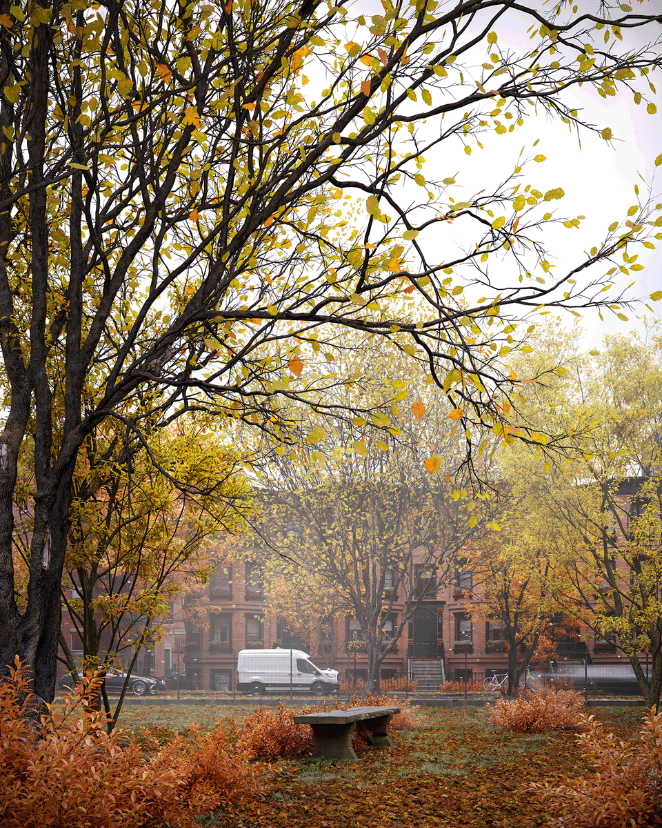 CoronaRenderer's tweet photo. Autumn is just around there corner, and here to help welcome the incoming season is 3D Artist Matheus Almeida's beautiful personal study project, The Gift. See more: https://t.co/V63pUEoBYK https://t.co/T7GClvFXpe