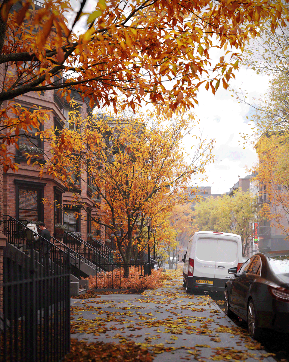 CoronaRenderer's tweet photo. Autumn is just around there corner, and here to help welcome the incoming season is 3D Artist Matheus Almeida's beautiful personal study project, The Gift. See more: https://t.co/V63pUEoBYK https://t.co/T7GClvFXpe
