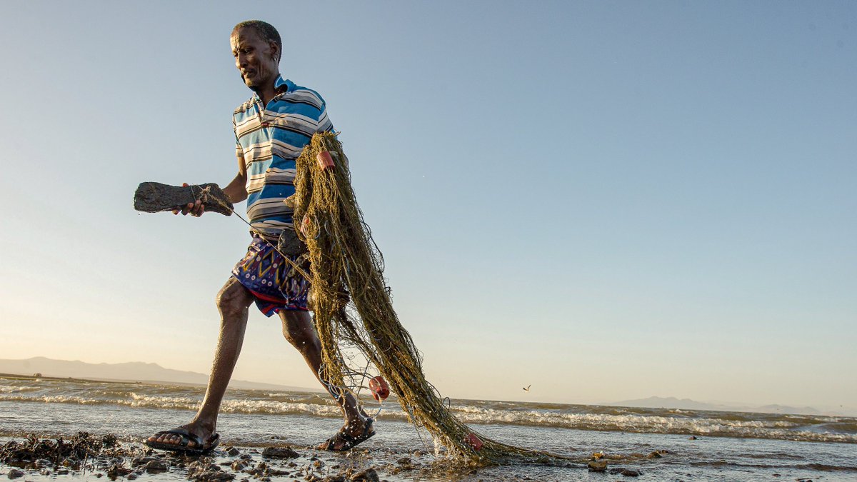 ONU Desarrollo (@pnud) on Twitter photo Una transición justa significa...
🧰 Empleo decente
💰 Economía inclusiva
🌳 #AcciónClimática
Ahora que está en marcha la Semana del Clima de África 🌍, lee a <a href="/Sangji_climate/">Sangji Lee</a> sobre cómo lograr una transición justa en el continente: bit.ly/3pv83aa
#AfricaClimateWeek Una transición justa significa...
🧰 Empleo decente
💰 Economía inclusiva
🌳 #AcciónClimática
Ahora que está en marcha la Semana del Clima de África 🌍, lee a <a href="/Sangji_climate/">Sangji Lee</a> sobre cómo lograr una transición justa en el continente: bit.ly/3pv83aa
#AfricaClimateWeek