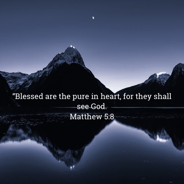 Ryan the Zealot tweet media