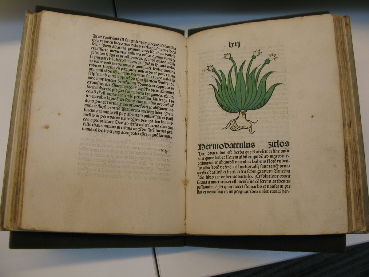 rc_pharm's tweet photo. This 1485 herbal with plant woodcuts is the oldest book in the #RPSLibrary. 

If you would like to see it and other fascinating books from the collection, do join us for Open House London on Saturday 16 September: https://t.co/arSh7uEFIY

#OpenHouseLondon https://t.co/pyyDX8Jf1A