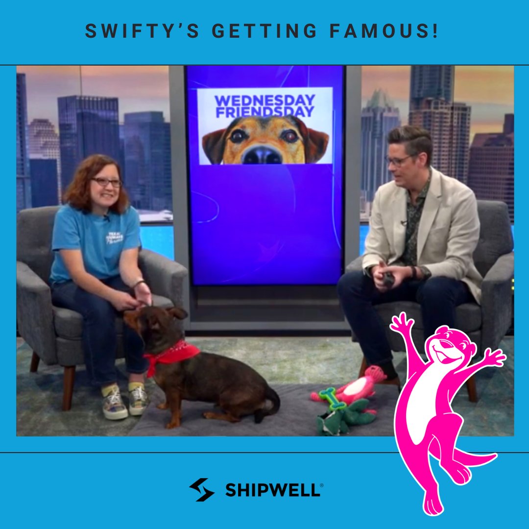 Looks like our pal Swifty is getting famous! Check out <a href="/CBS/">CBS</a> Austin’s latest news broadcast to see his appearance with Kelly and Happy from #TexasHumaneHeroes! Catch Swifty’s 10 minutes of fame at 28:11 in the video here ➜ bit.ly/3r1LTAW