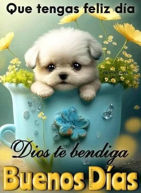 Buenos días