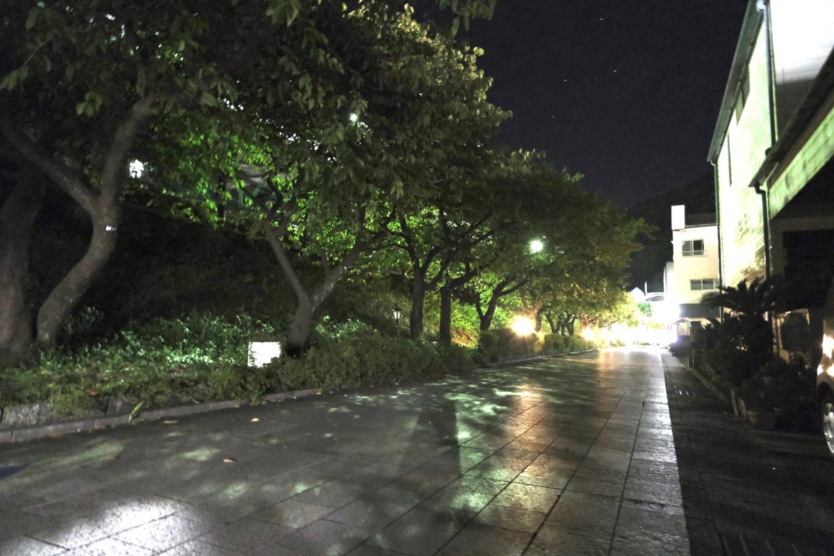 DHleechan's tweet photo. 雨降りと雨降りの合間
地面が光る

台風が近づいてますね
大きな被害が出ませんように…

#カメラ散歩 #夜散歩 #雨降り
#ファインダー越しの私の世界　
#キリトリセカイ 
#星空　#上手に撮りたい
 #fujifilm_xseries  で撮った写真に #iPhoneの力 使いました https://t.co/UN6RPzwh8C