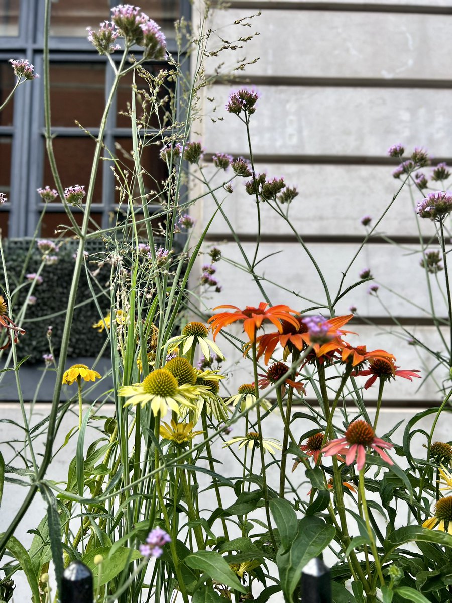 Anshul Raja tweet media