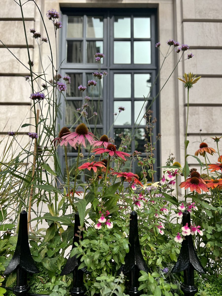 Anshul Raja tweet media