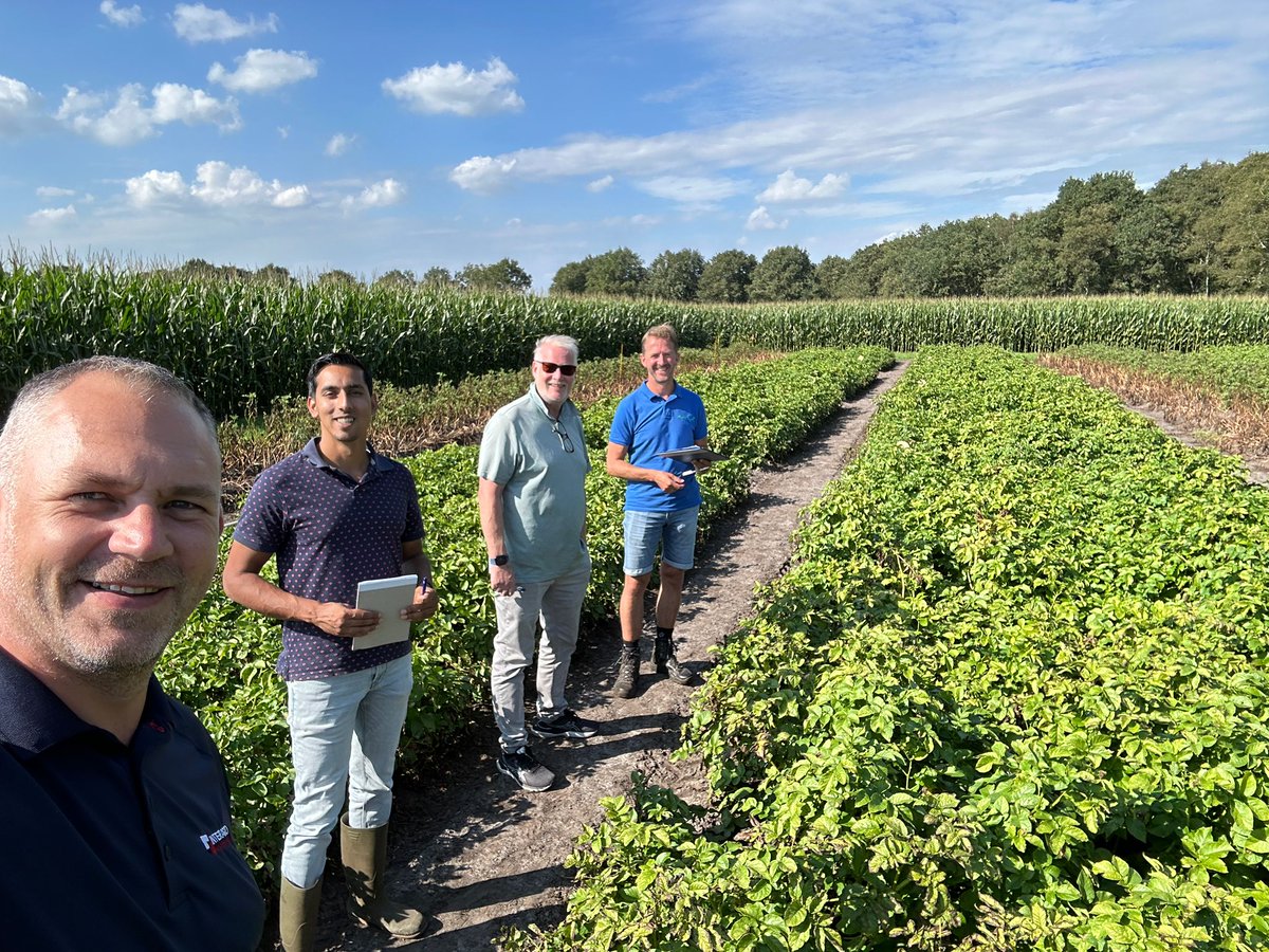 Nichino UK (@nichinouk) on Twitter photo We love working with our customers…
Here's <a href="/SASutherland/">Stuart Sutherland</a> & <a href="/BoboDeClonje/">Robert Butselaar</a> on a recent field visit in The Netherlands with <a href="/Holland_Fyto/">Holland Fyto</a> looking at Crusade in the #FightAgainstBlight - doing a cracking job. 🥔💪
Maize also being used round field to help. 🧐 We love working with our customers…
Here's <a href="/SASutherland/">Stuart Sutherland</a> & <a href="/BoboDeClonje/">Robert Butselaar</a> on a recent field visit in The Netherlands with <a href="/Holland_Fyto/">Holland Fyto</a> looking at Crusade in the #FightAgainstBlight - doing a cracking job. 🥔💪
Maize also being used round field to help. 🧐