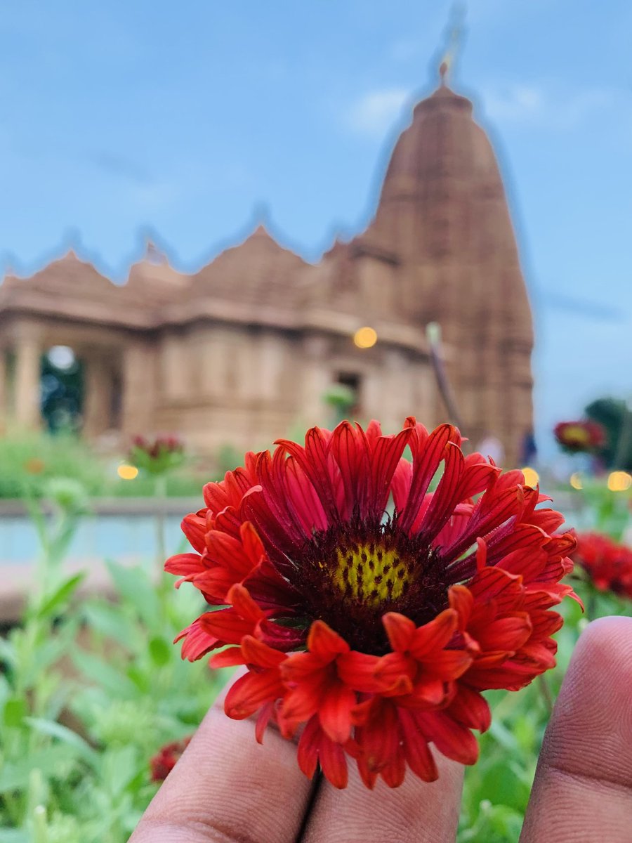 ItsMeprashant2's tweet photo. Most beautiful place in Sonbhadra Birla Mandir renukoot https://t.co/mhJvLqf5cJ