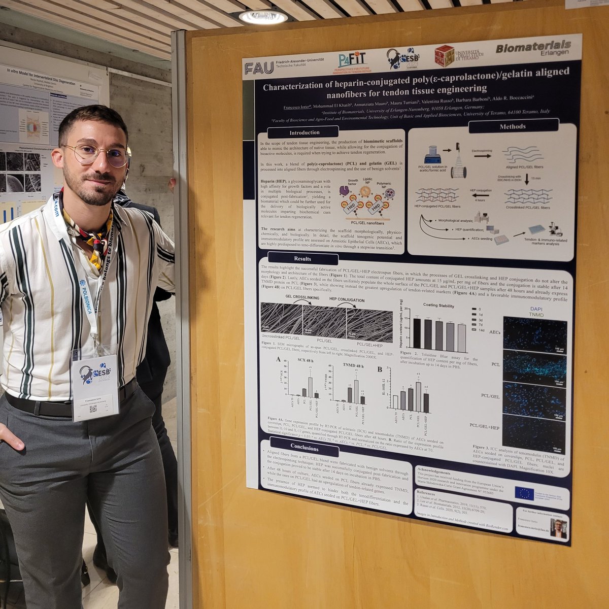Proud to share with the @ESB2023 attendees what we've been working on at <a href="/Boccaccini_Lab/">Biomaterials_Erlangen</a> <a href="/UniFAU/">FAU Erlangen-Nbg</a>  in collaboration with <a href="/UniTeramo/">Università di Teramo</a>  in the scope of <a href="/P4Fit/">P4_FIT</a>. Happening now at poster PoB16.19
