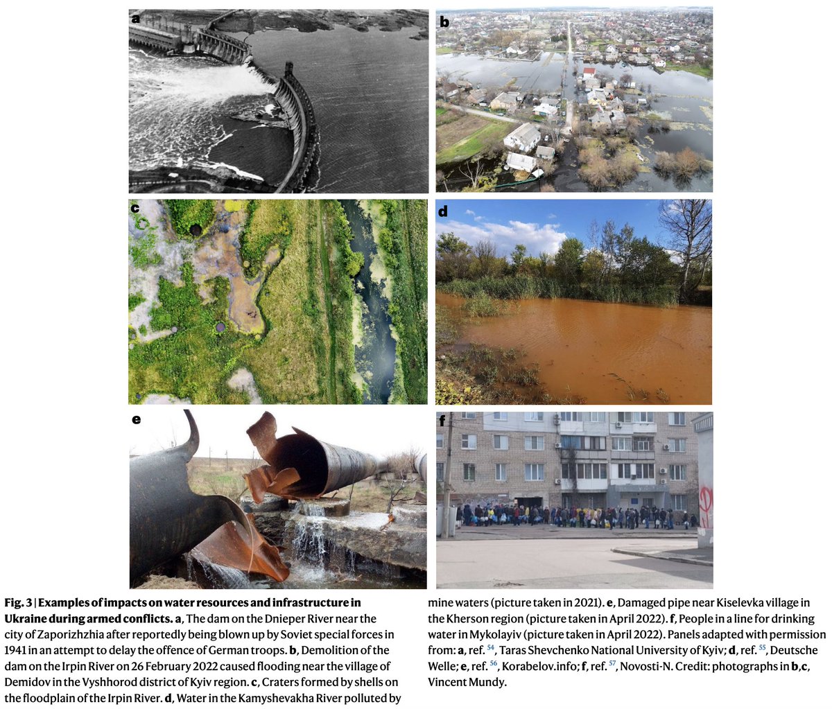 paper_a_day tweet media