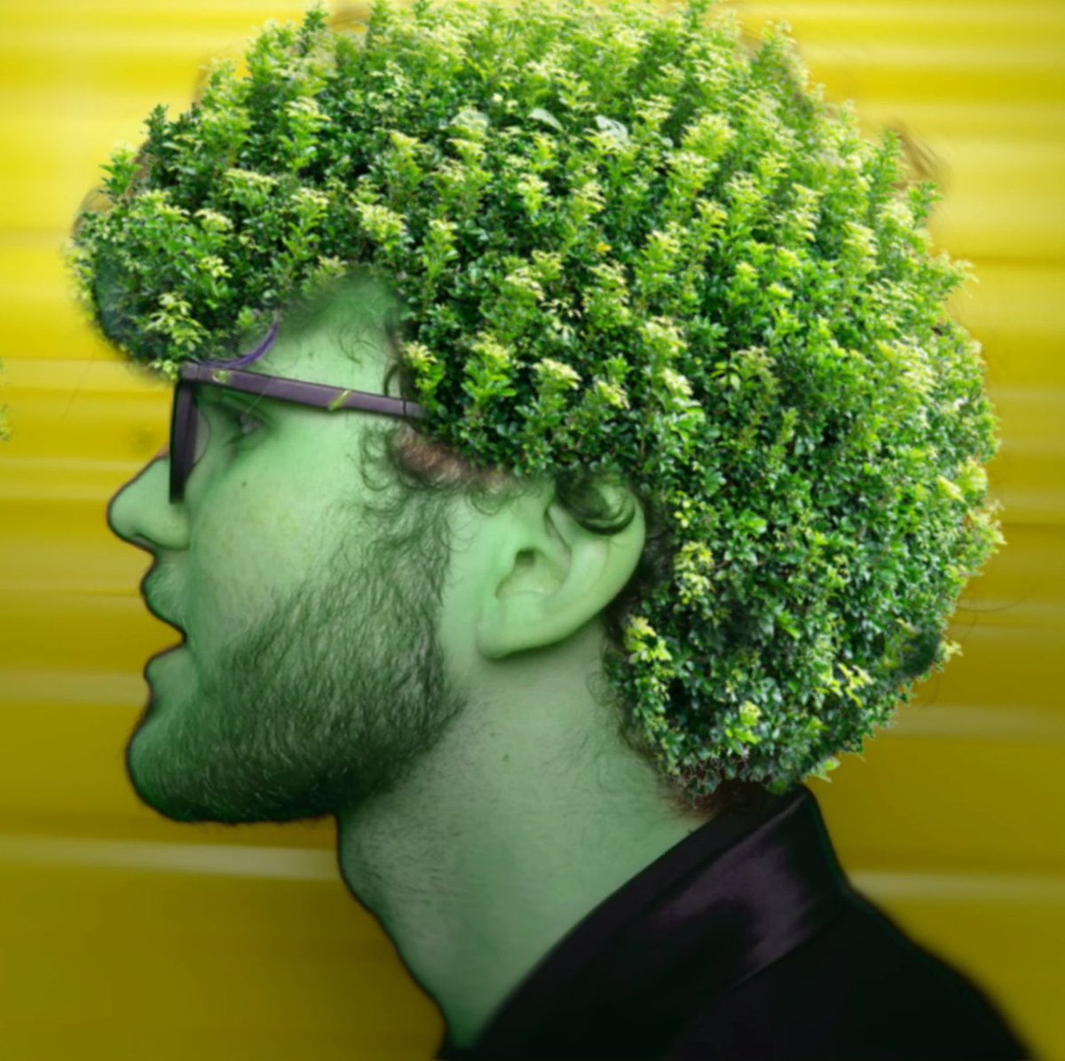 jmancurly tweet media