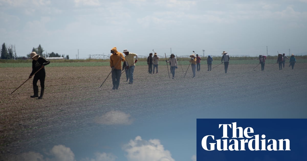 ‘It’s slavery for modern times’: how children of 12 toil in Colorado’s fields | The Guardian bit.ly/3sIBfPW

#ChildLabor