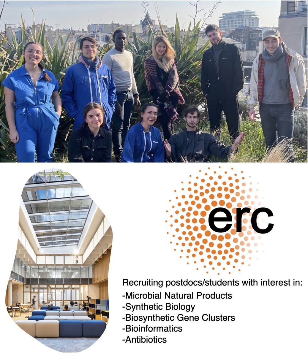 Vincent Libis tweet media