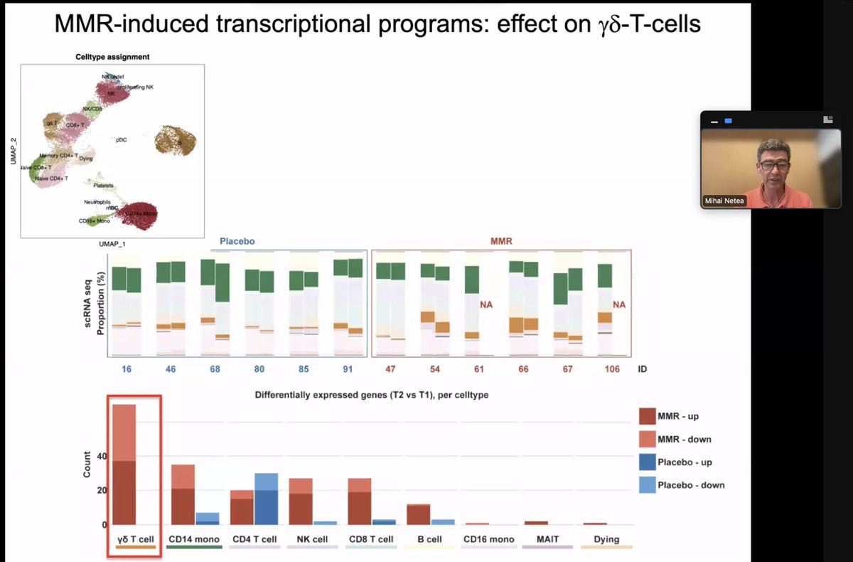 PayalYokota's tweet image. This is #ongoing but super exciting talk by Mihai on #TrainedImmunity with easter egg findings showing significance of #GDTcells in MMR vaccinated cohorts #globalimmunotalks @forum_gd