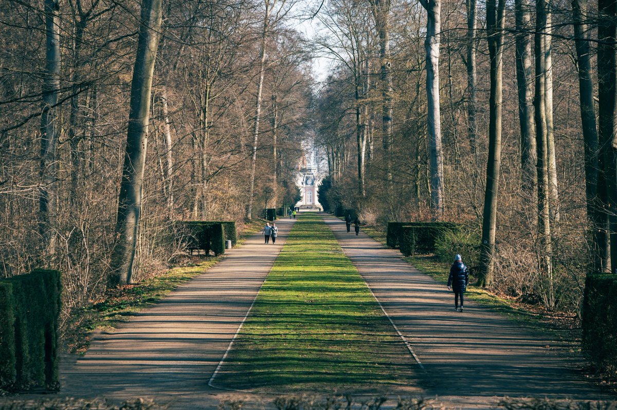 jamarsden's tweet photo. The street of life has two sidewalks: The Left and The Right. Which one are you walking on today? 🛤️#Reflections #ActiveReorientation #Breathe #RebootHQ
https://t.co/OuyPVad7Tj https://t.co/5khmK13Fvo