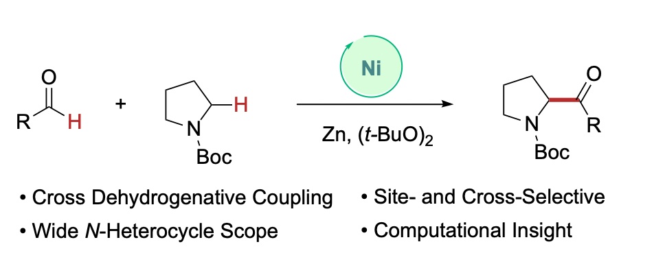 Montgomery Group (@montgomery_lab) on Twitter photo We’re excited to share our new approach for catalytic cross-dehydrogenative coupling, just published in <a href="/J_A_C_S/">J. Am. Chem. Soc.</a> in collaboration with <a href="/ZimmermanUMich/">Zimmerman Group</a>. Congrats to Mo, Austin, Soumik, and Ammar on this work! doi.org/10.1021/jacs.3… We’re excited to share our new approach for catalytic cross-dehydrogenative coupling, just published in <a href="/J_A_C_S/">J. Am. Chem. Soc.</a> in collaboration with <a href="/ZimmermanUMich/">Zimmerman Group</a>. Congrats to Mo, Austin, Soumik, and Ammar on this work! doi.org/10.1021/jacs.3…