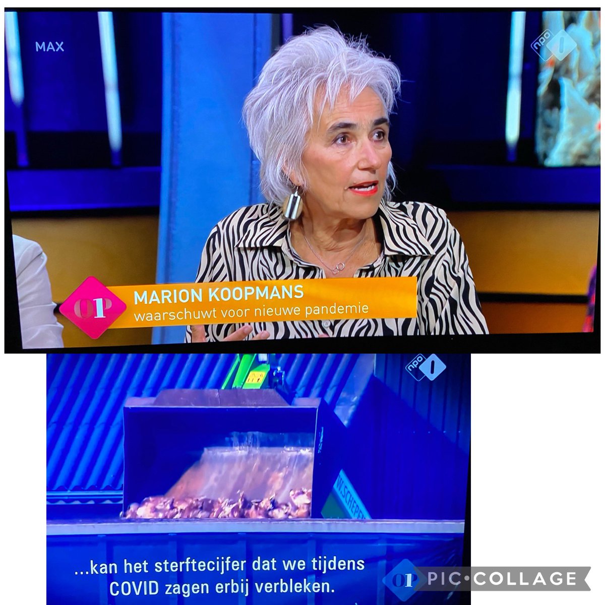 GommersJack's tweet photo. #MAX. #Op1, #Op1NPO.  Viroloog Marion Koopmans die NIETS nieuws verteld over de gevaren welke er al decennialang zijn in veehouderij maar ieder over behoort te zwijgen. Met herhaling werden nieuwe varianten van #corona virus zichtbaar in Nederland.! #zoönosen #Pandemie #COVID19 https://t.co/84Vf81QHM5