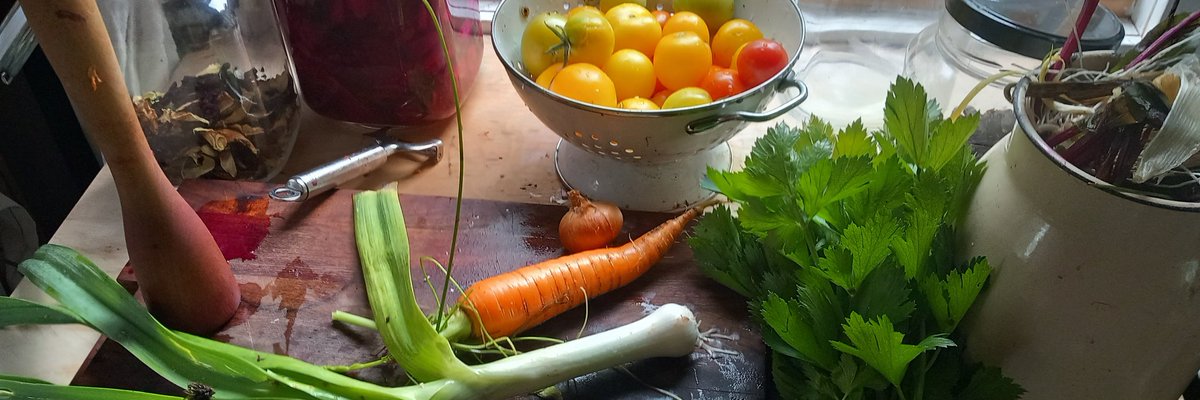 downshifting___'s tweet photo. Fermentation is probably the oldest way to preserve food, and the most versatile: no need to refridgerate, no additives needed, any pot is fine without lid requitements, no mylar bags necessary...
I tried it several times and failed spectacularly in the beginning. My lessons: https://t.co/shrtQITGV0