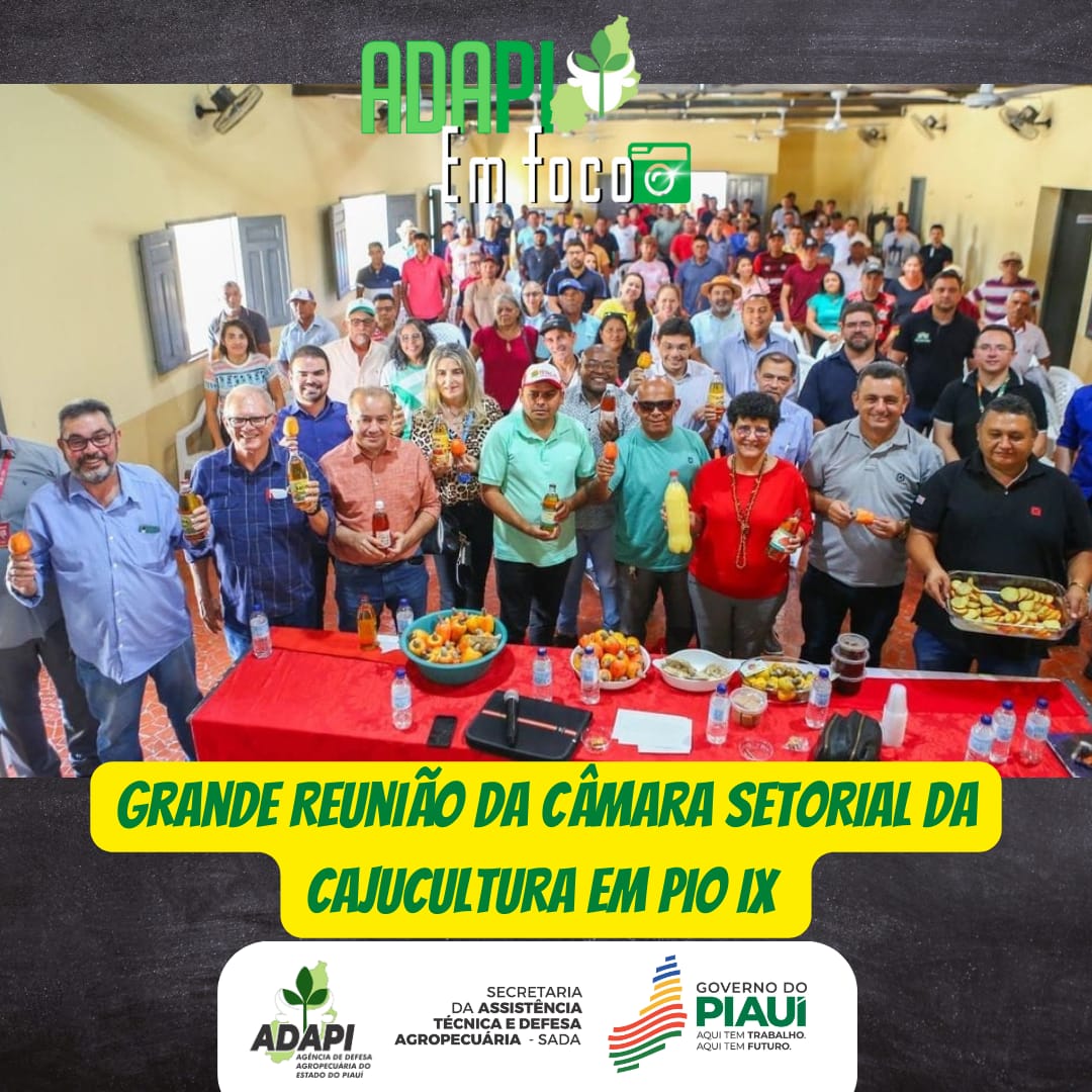 adapi_pi's tweet image. instagram.com/p/Cw3IWVoPe7w/…