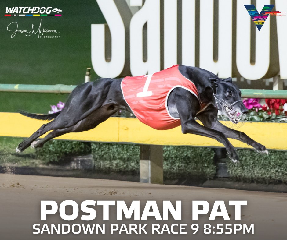 WatchDogRacing's tweet image. ⭐️ PREMIER RACING TONIGHT ⭐️

#PremierRacing at @sandowndogs features recent Group 1 National Sprint Championship finalist POSTMAN PAT against 595-metre #SpeedStar winner HECTOR FAWLEY.

🏁 Race 1 of 11 ⏰ 6:08pm

Download the Watchdog app 📱

#GreyhoundRacing | 📸 @Austscapes