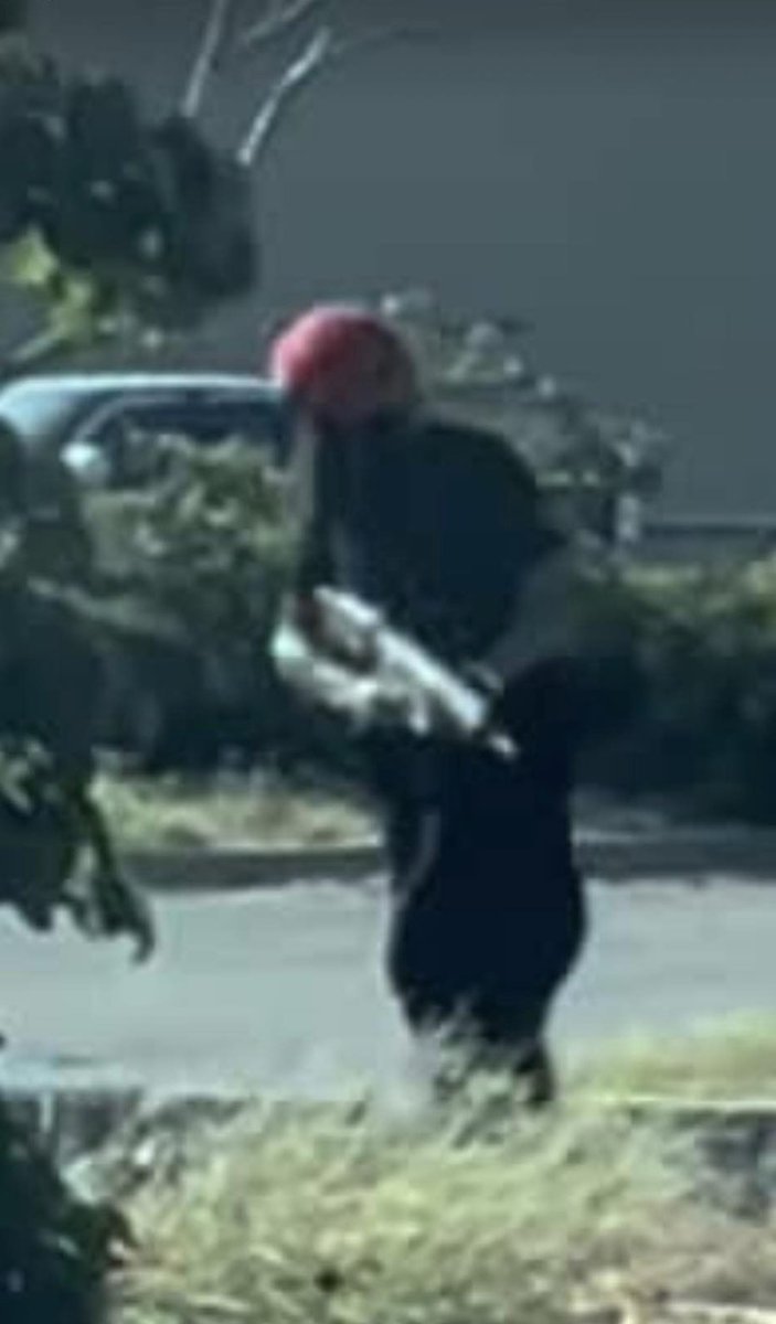 Chris Yu tweet media