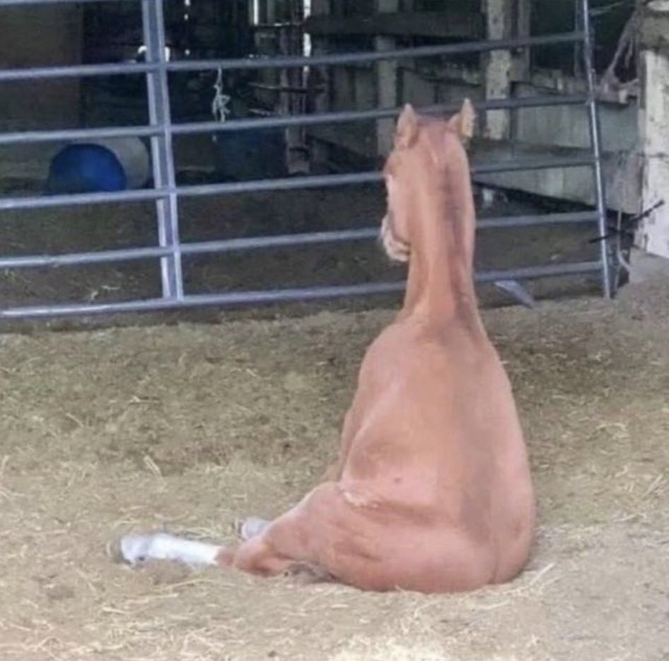 ya no sé que está pasando conmigo