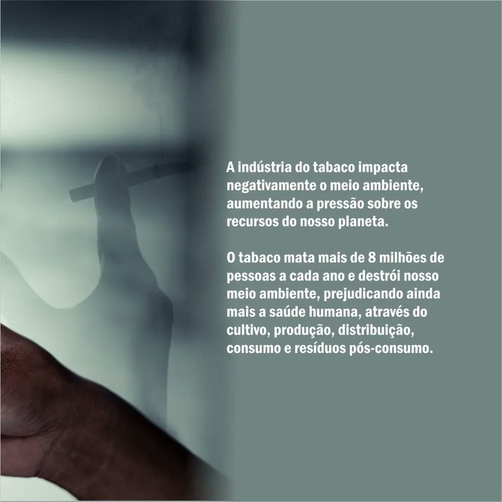 spptpneumo's tweet photo. Tabagismo e Meio Ambiente 

A indústria do tabaco impacta negativamente o meio ambiente, aumentando a pressão sobre os recursos do nosso planeta.

#sppt #tabagismo #meioambiente #paredefumar #nosmoking #procureumpneumologista https://t.co/ZyfbsS0eFB