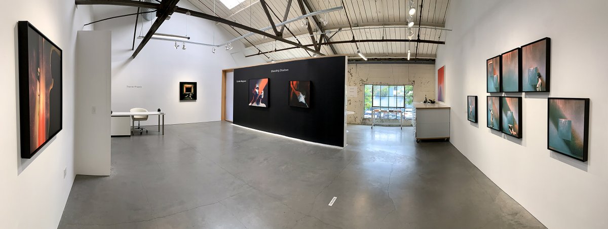 Themes+Projects tweet media