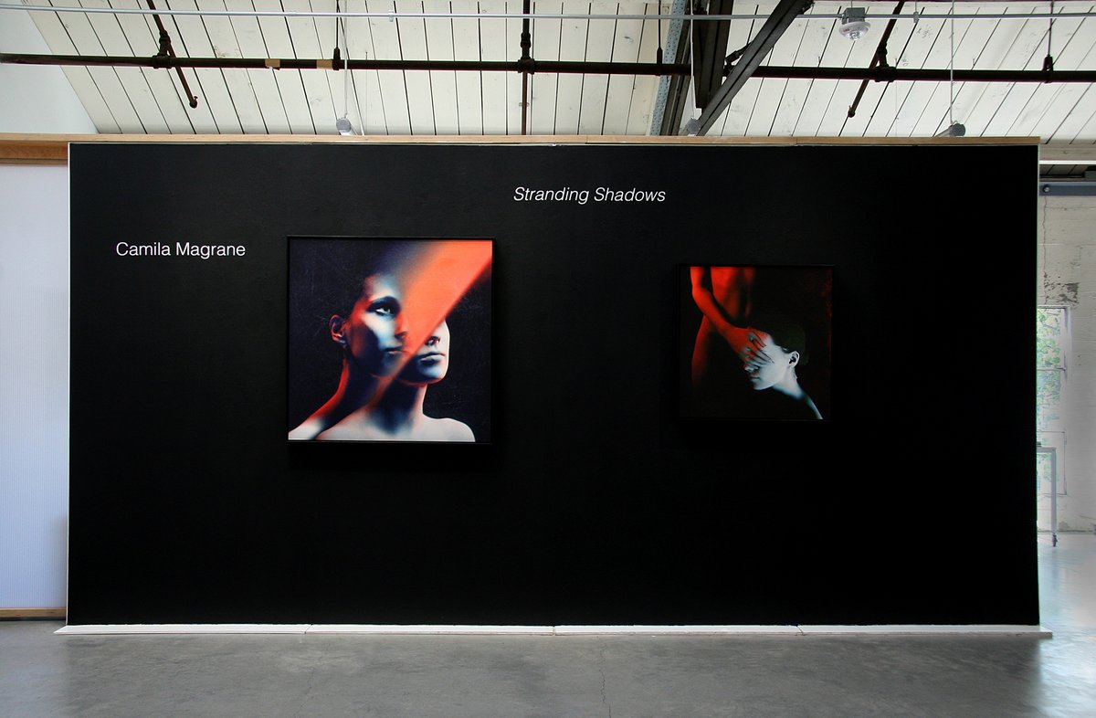 Themes+Projects tweet media