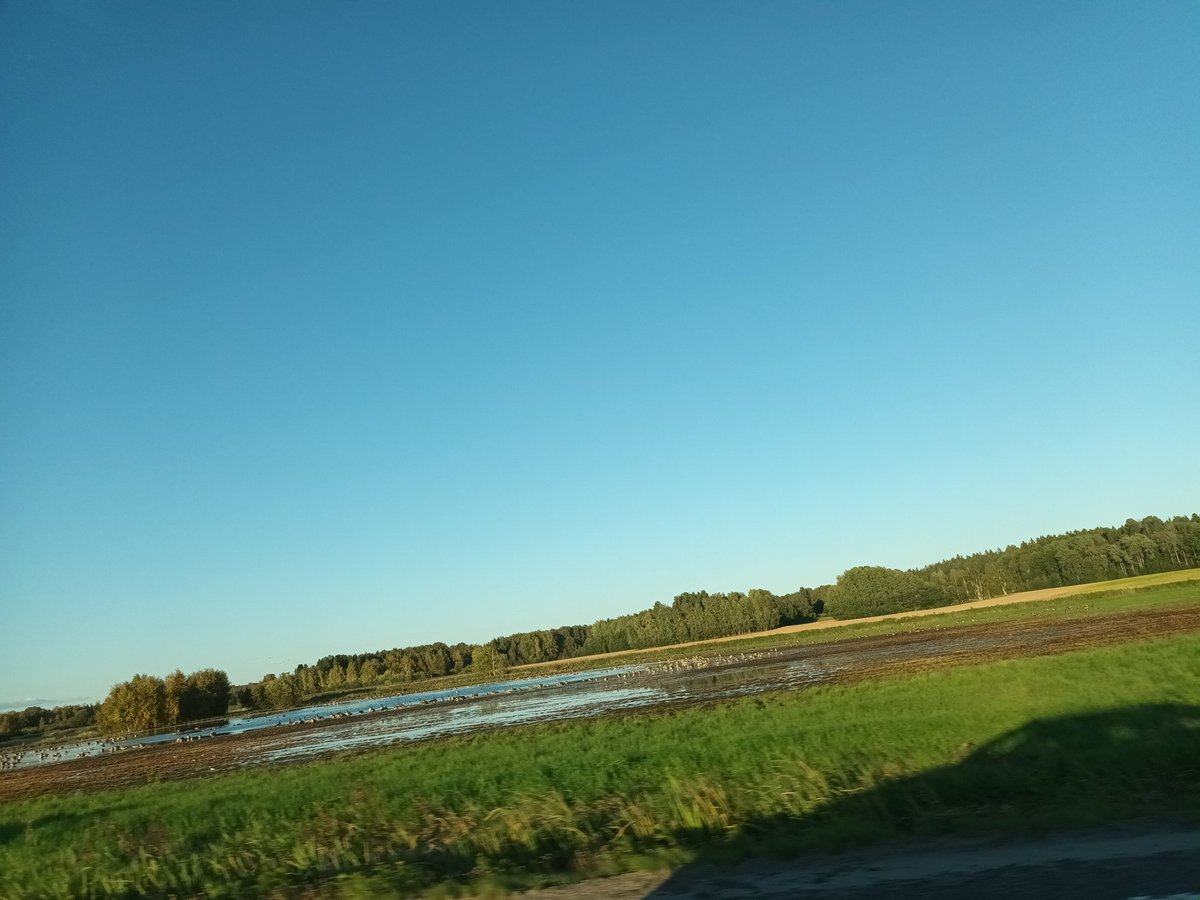 kristallnaach's tweet photo. Nun nochmal 140km bis zur #Stuga..
🦌Tschüss #Grums..hej då #Vänern..
#Elchenländle23 💙💛 #Värmland https://t.co/DHTAaNBYSH