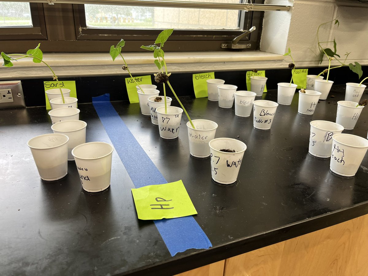 Andrea Palmatier, M.Ed tweet media