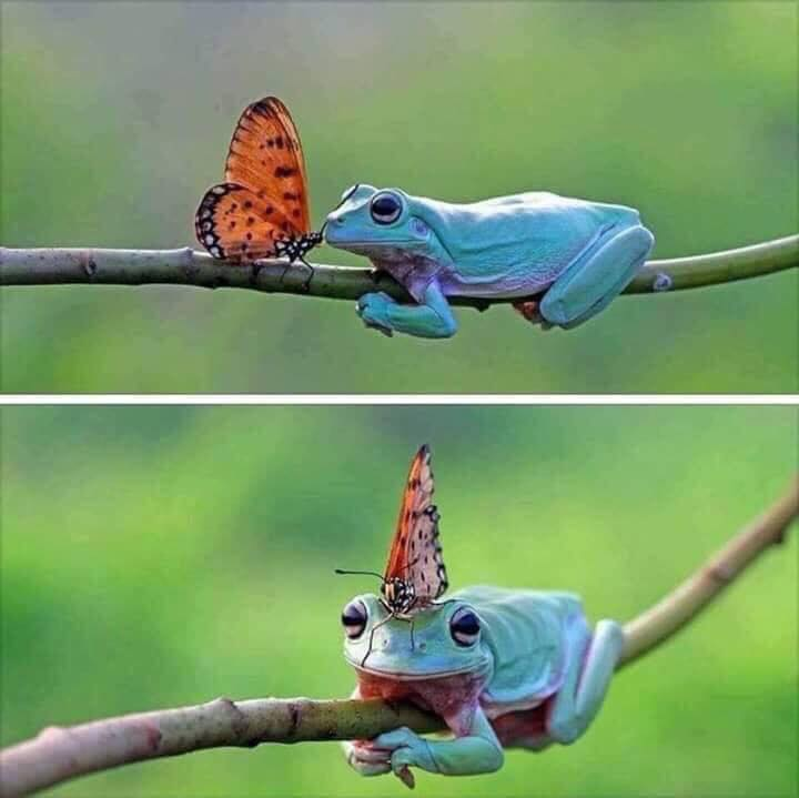 Fotografías perfectas ❤️