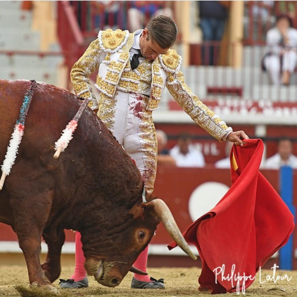 Encaje de escuela antigua.

Alejandro Mora en Bayona