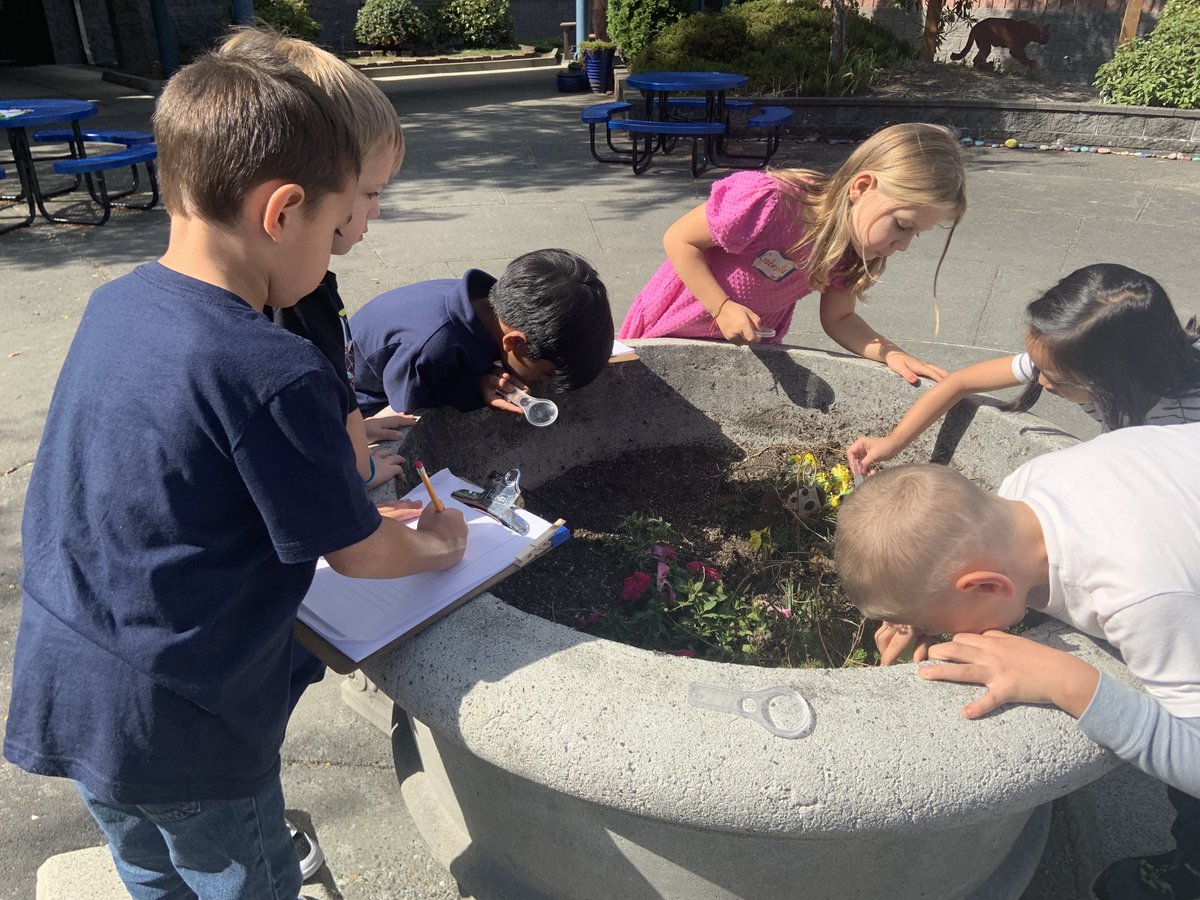 Dr. Peter Scott (@eps_deputysupt) on Twitter photo Of all the wonderful moments visiting schools on Opening Day, this may have been my favorite: <a href="/EPS_MillCreekES/">Mill Creek Elementary-EPS</a> students making scientific observations in the garden! Of all the wonderful moments visiting schools on Opening Day, this may have been my favorite: <a href="/EPS_MillCreekES/">Mill Creek Elementary-EPS</a> students making scientific observations in the garden!