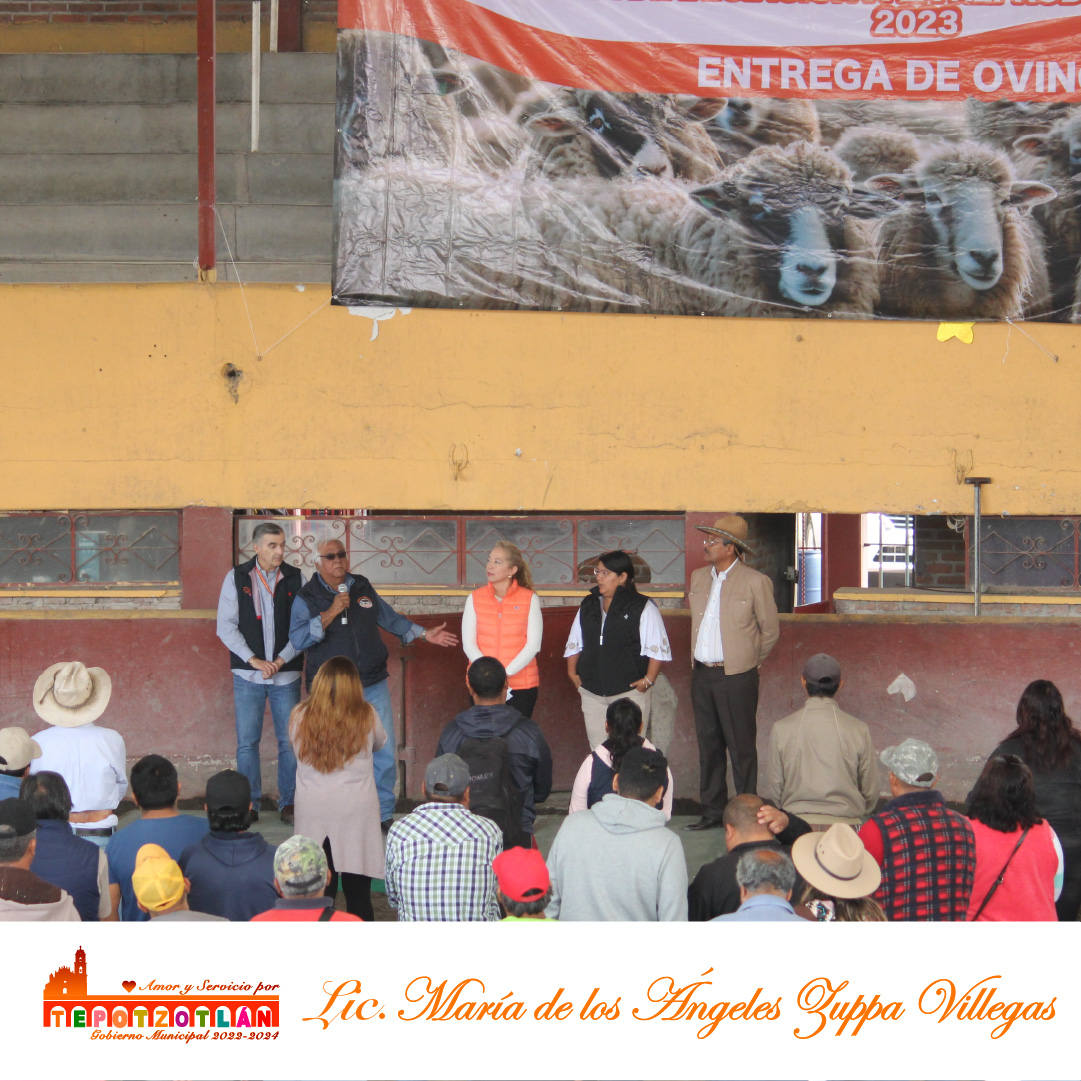 María de los Ángeles Zuppa Villegas tweet media