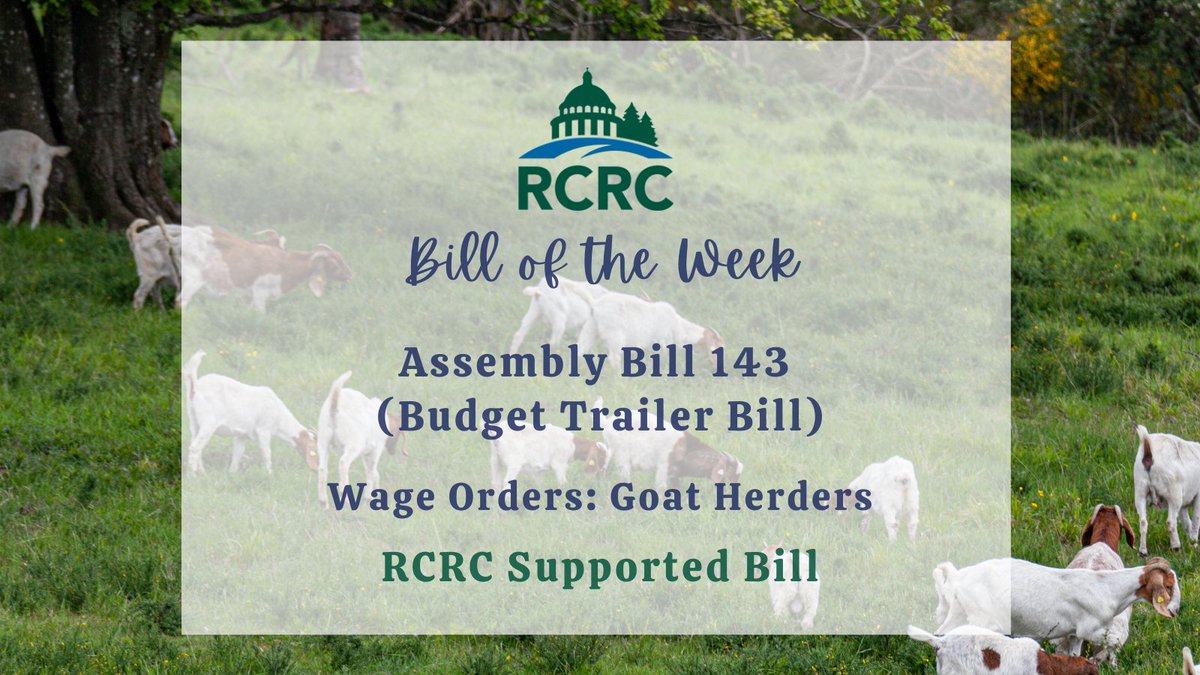 RuralCounties's tweet photo. #BilloftheWeek: #RCRC-supported budget trailer bill language in #AB143 would extend temporary provisions of labor protections &amp; min. wages for goat herders, ensuring the continuation of vital prescribed grazing projects in #wildfire-prone communities. Info https://t.co/IsEd95M7od https://t.co/ujAGCezRG3