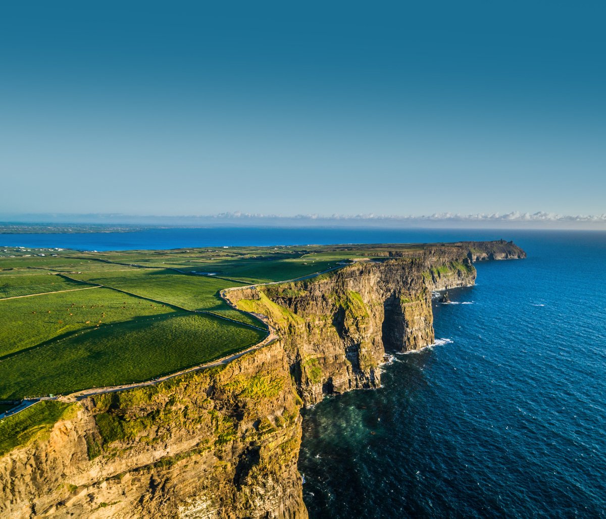 The Irish Outreach Center tweet media