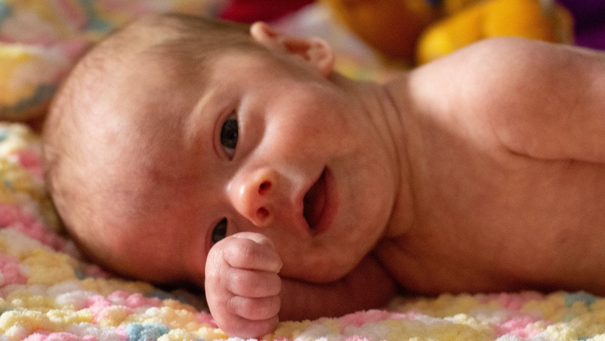 Gotchya Images tweet media