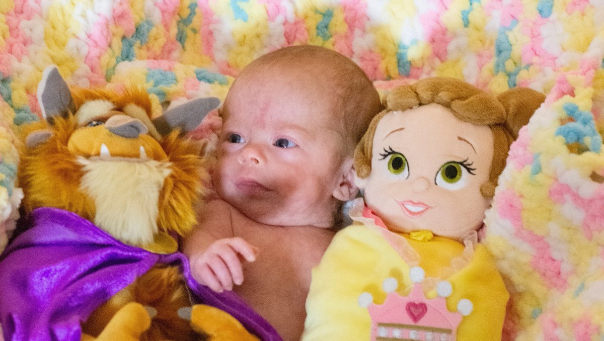 Gotchya Images tweet media