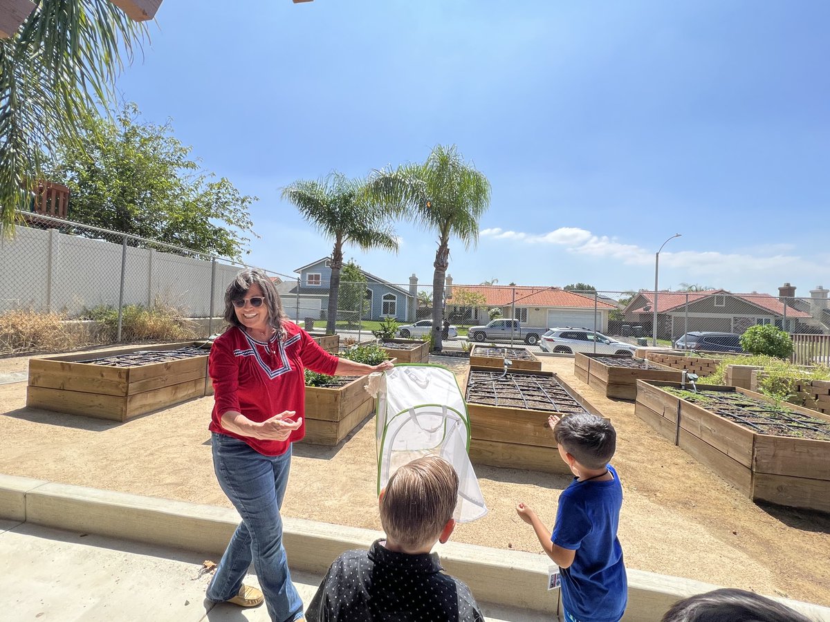 Ricardo Rincon tweet media