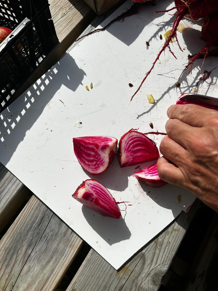 AmberstoneAR tweet media