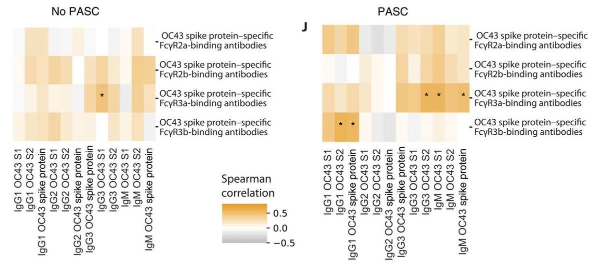 EricTopol's tweet photo. People with autoimmune diseases have a higher risk of developing #LongCovid. A new study @ScienceTM tells us this may be related to prior exposure to a common cold coronavirus (OC43) with imprinting @hermanjd @ragoninstitute @jeffsparks @zach_wallace_md https://t.co/AcTqkRuyHz https://t.co/SYoUBMu2Sm