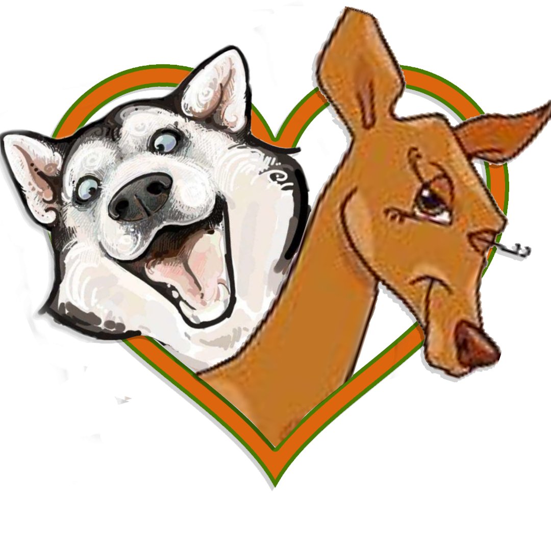 DillyTheDoe tweet media