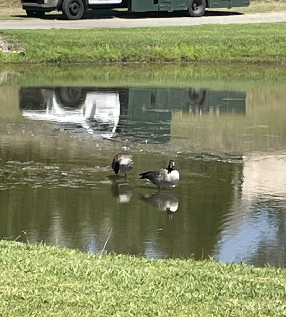 PupeFiasco's tweet photo. geesus walking on water https://t.co/QQLKmbwRYz